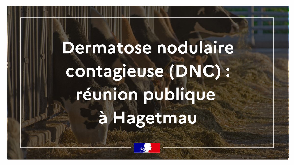 #Agriculture l DNC : réunion publique d'information

Une réunion d’information sur la dermatose nodulaire contagieuse est organisée dans les Landes.

📅  Mercredi 17 décembre 2025 à 14h00
📍 Salle cinéma Aquitaine, 274 Rue Carnot, 40700 Hagetmau

Cette réunion est ouverte à