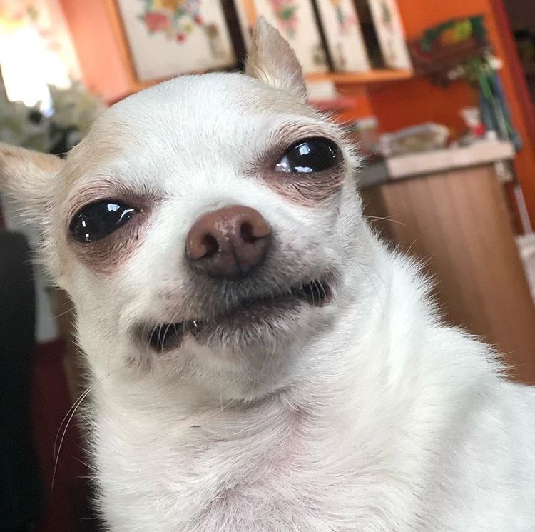 먼직 (@suturae2kids) on Twitter photo 