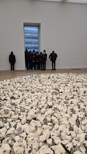 St. Joseph's College tweet media