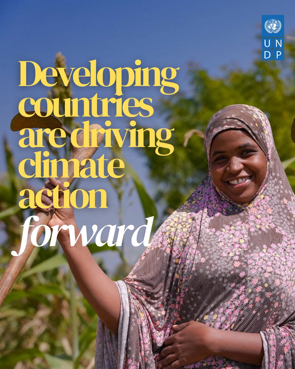 UNDP Planet tweet media