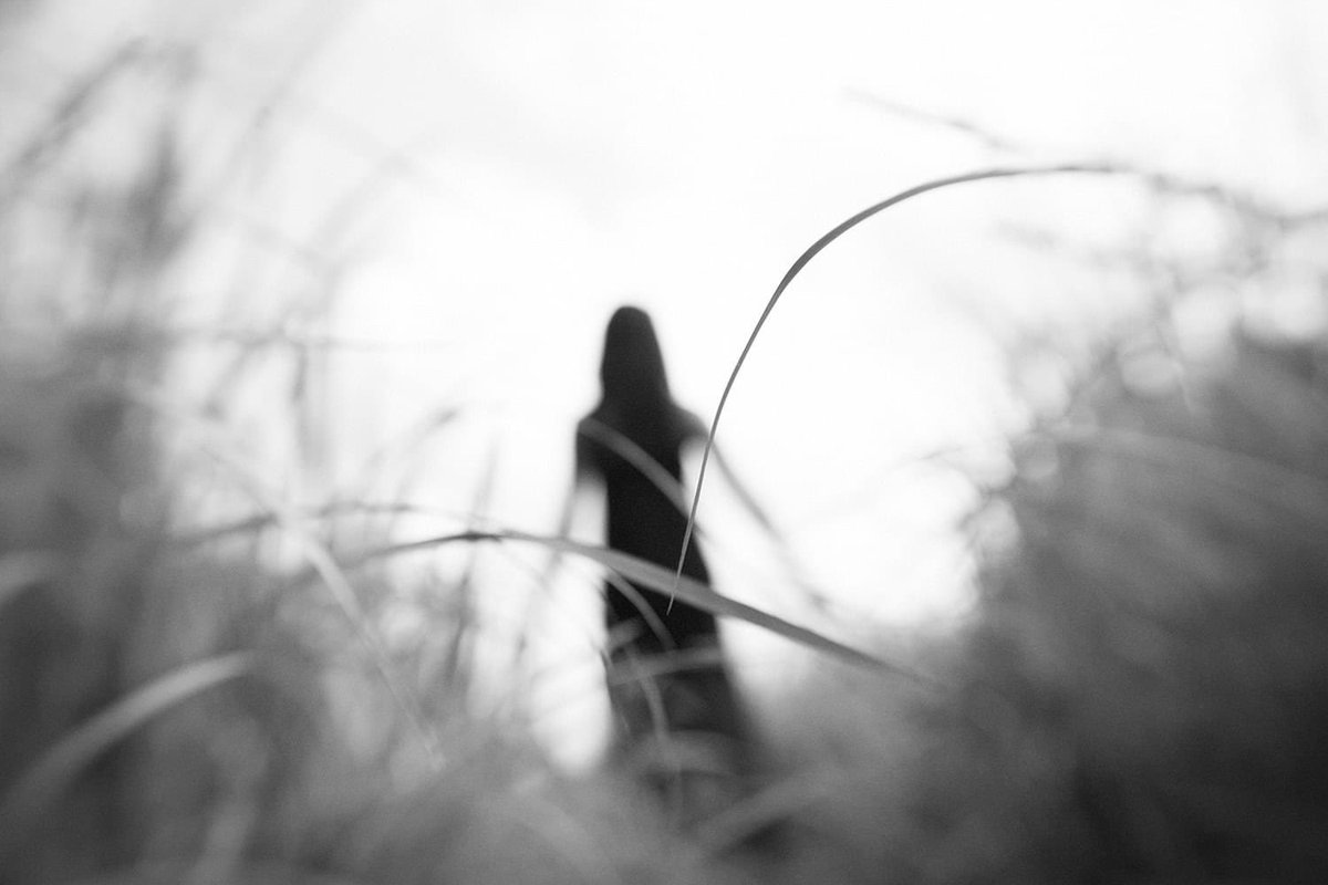 "We all have forests on our minds. Forests unexplored, unending. Each one of us gets lost in the forest, every night, alone."

Ursula K. Le Guin 

📷Hengki Lee