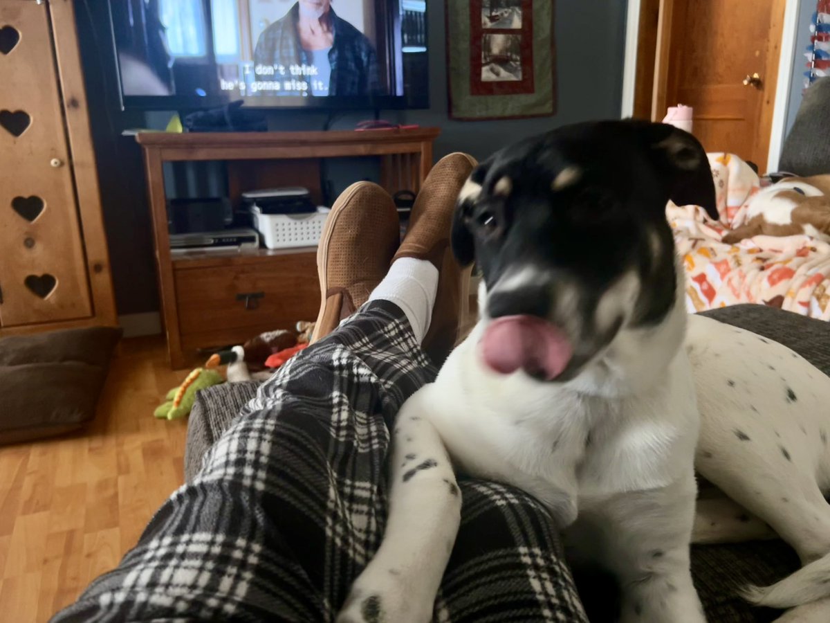 sixtaters's tweet photo. Happy #tongueouttuesday 👅 from Luna 
#adoptdontshop
#supermutt
#morejack https://t.co/MgV3cuhfJr