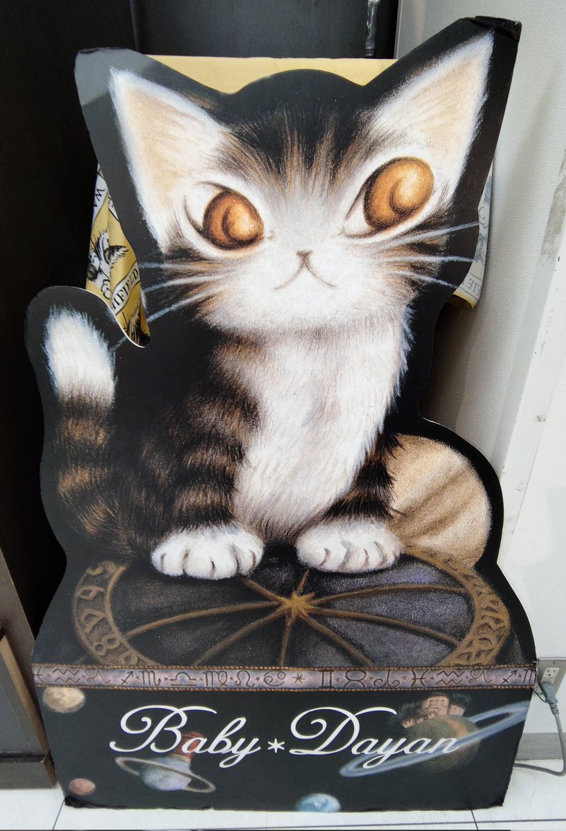 Mina Squirrel (@Y2iHQL7lcDhyTjr) / Posts and Replies / X