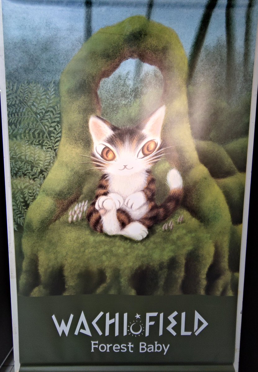 Mina Squirrel (@Y2iHQL7lcDhyTjr) / Posts and Replies / X