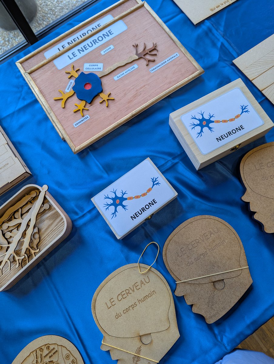 Académie d'Orléans-Tours tweet media