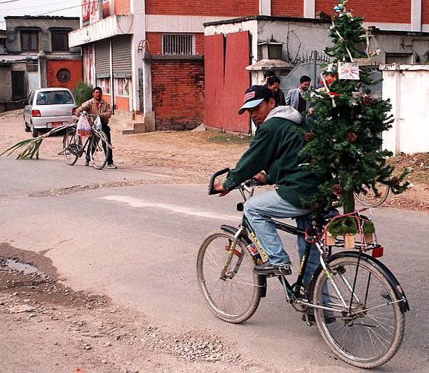 25YearsAgoLive's tweet image. A Nepalese man brings a Christmas tree home on the back of his bicycle.

Practicing Christians are found all over the world, including in Kathmandu.