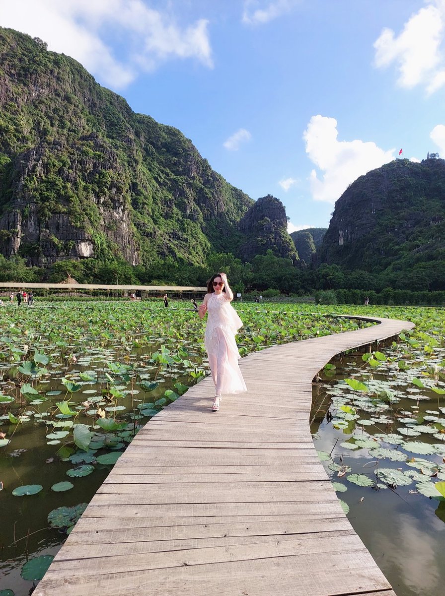 Hà Hảo tweet media