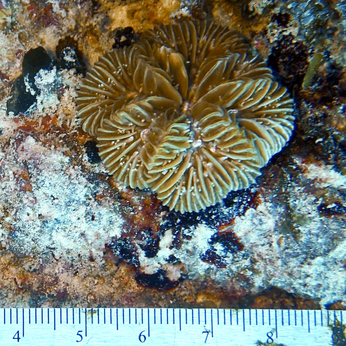 Lorenzo AlvarezFilip tweet media