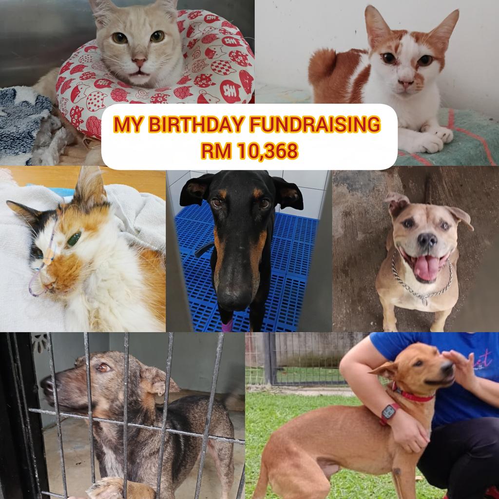 linda.elle.hafiza 🇲🇾 tweet media