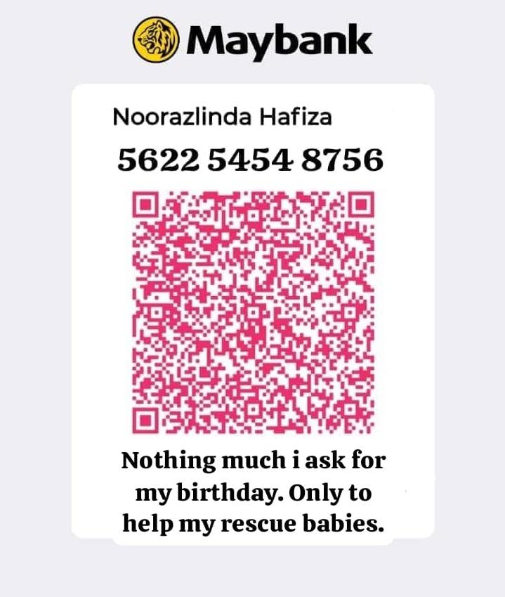 linda.elle.hafiza 🇲🇾 tweet media