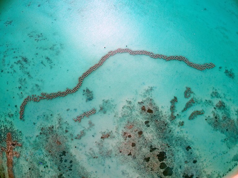 Climate Visuals tweet media