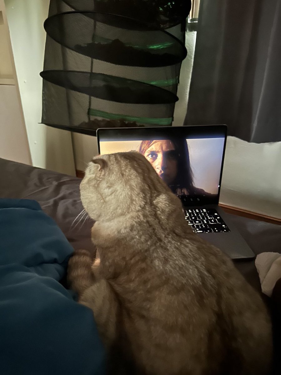 AMCrypttoAIex's tweet image. GM! 
Tomorrow fully back at the charts but streaming anyway in a bit !