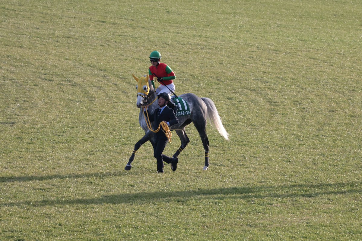 マイネルモーント 馬場入りからの返し馬 丹内祐次騎手 高木登厩舎