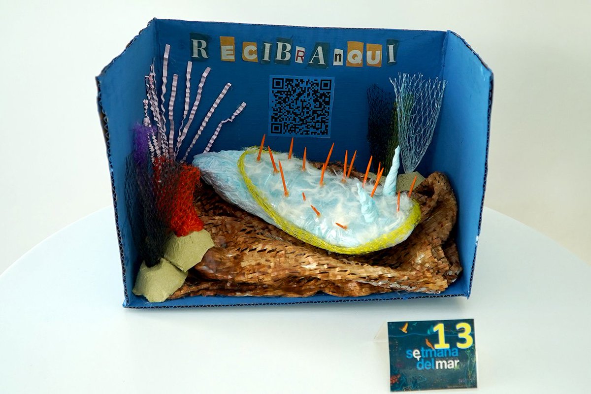 Ja tenim guanyador del concurs d'accés a la XXXI edició de la Setmana del Mar! La mascota es diu 'Recibranqui' i és un nudibranqui creat pel grup S'Olivera B. Felicitats a les deu aules classificades! 👉 buff.ly/dRKZ8M0 
#SetmanadelMar #Eivissa #Educació
