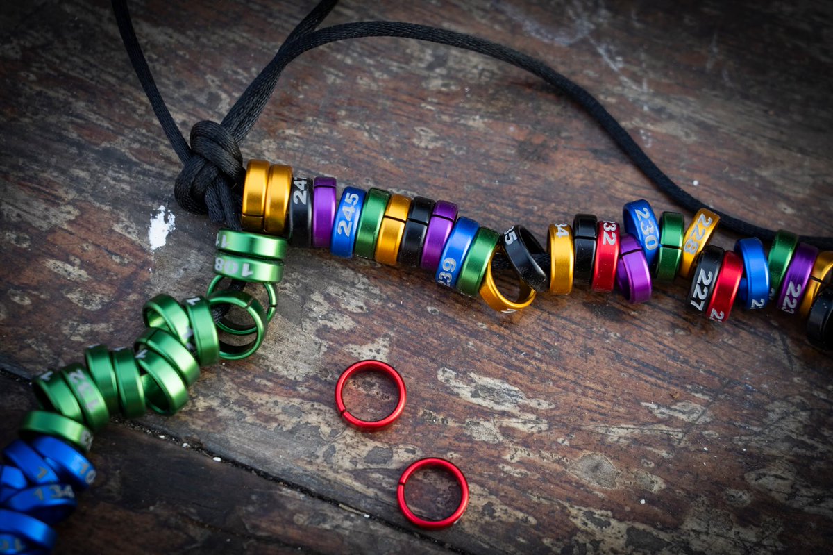 WIRE: Wildlife Investigative Reporters & Editors tweet media