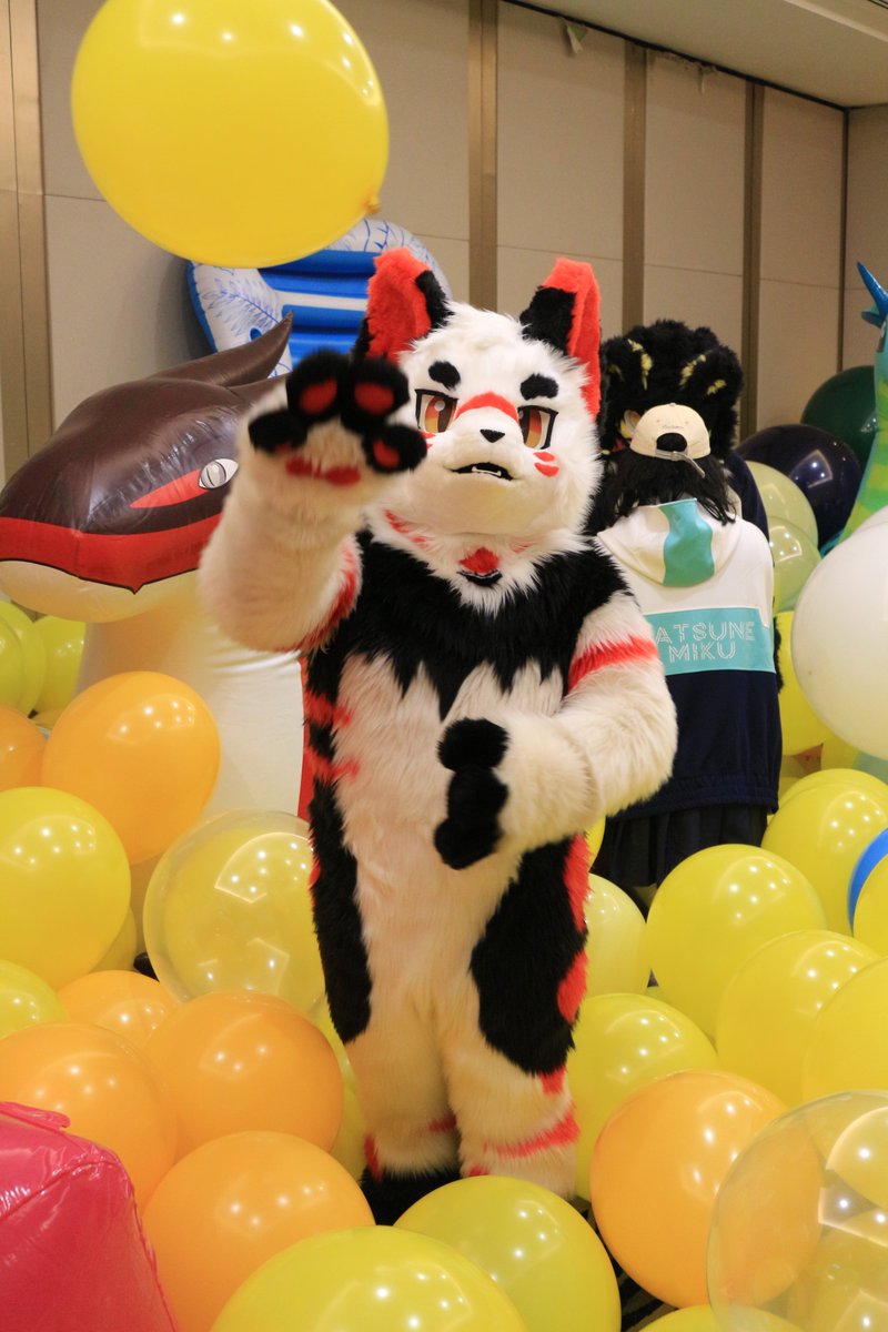 是政　KOREMASA tweet media