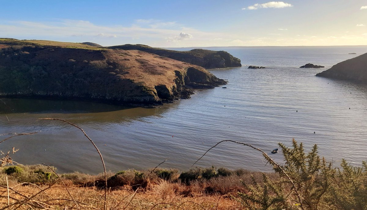 cbarterdavies's tweet photo. Five days until the shortest one ๐ฟ๐๐ค๐ #Solva #Pembrokeshire ๐ด๓ ง๓ ข๓ ท๓ ฌ๓ ณ๓ ฟ #TodayShots #MyPhotos ๐ธ https://t.co/6mLHWwqS81