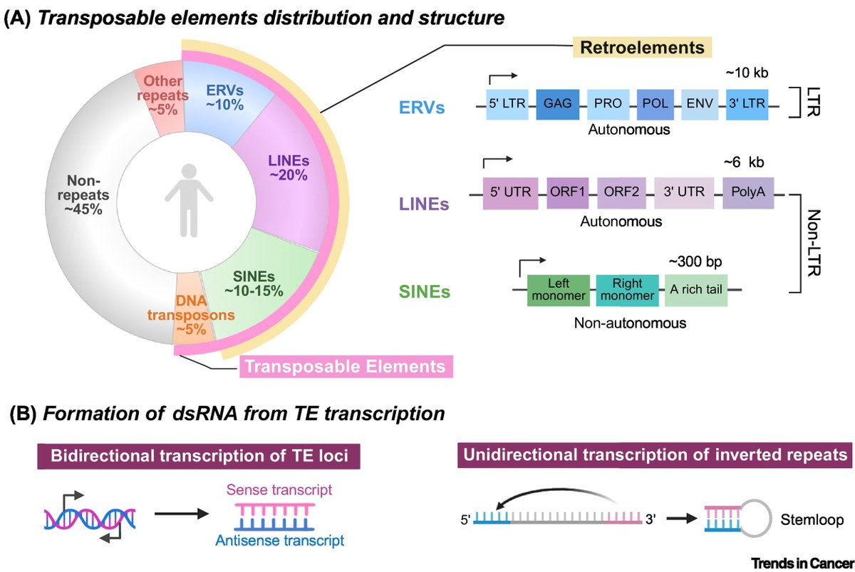 Anirban Maitra tweet media