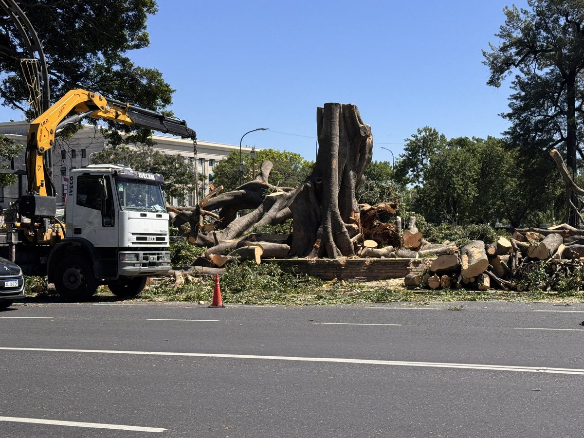GatoHerrmann's tweet photo. @LANACION @clarincom vieron que talaron el ombu histórico de Avenida Libertador y Pueyrredón ? Pasando museo bellas Artes. Que triste!! Saben si se justificaba ? https://t.co/cSRn6PTIpE