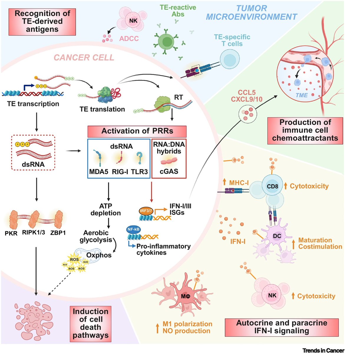 Anirban Maitra tweet media