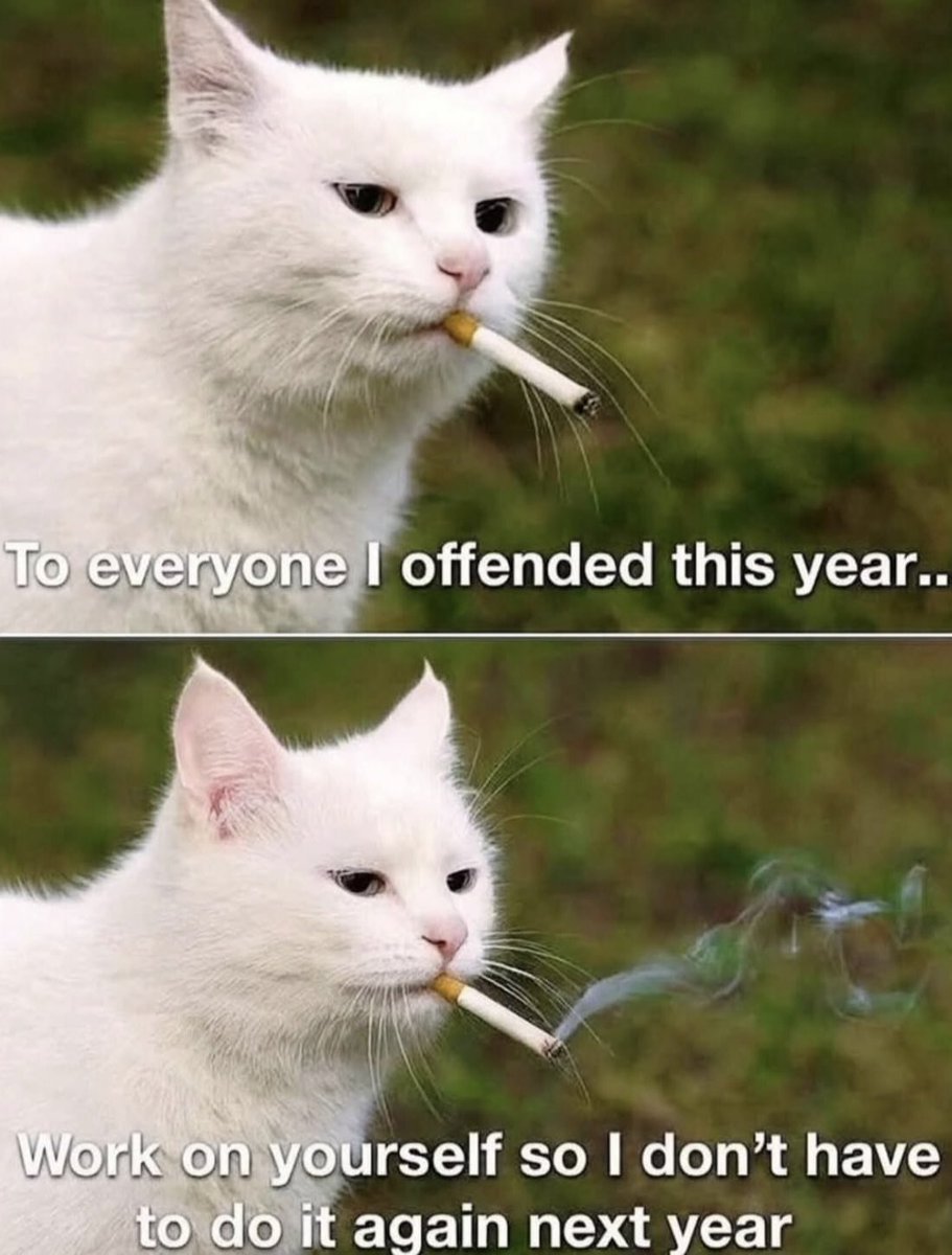 introvert memes (@introvertsmemes) on Twitter photo 