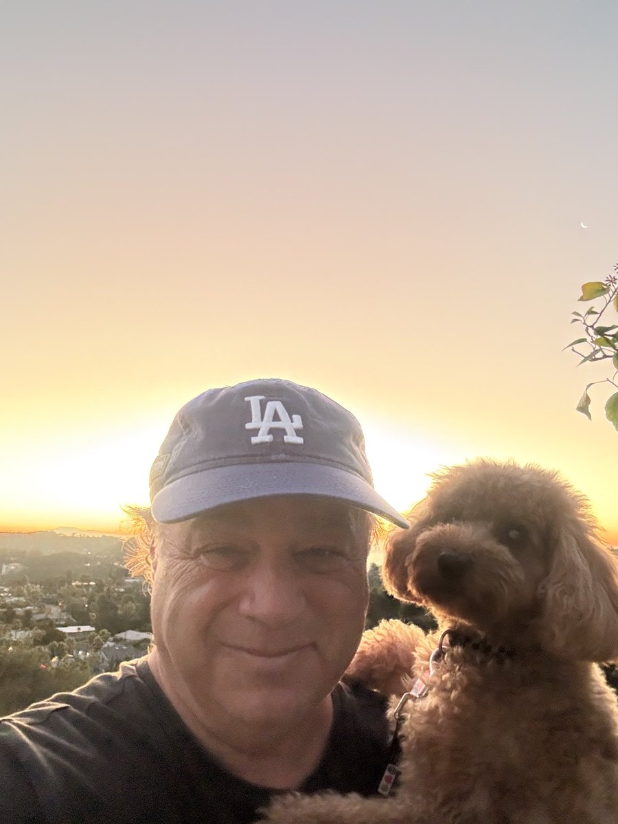 David Wild tweet media