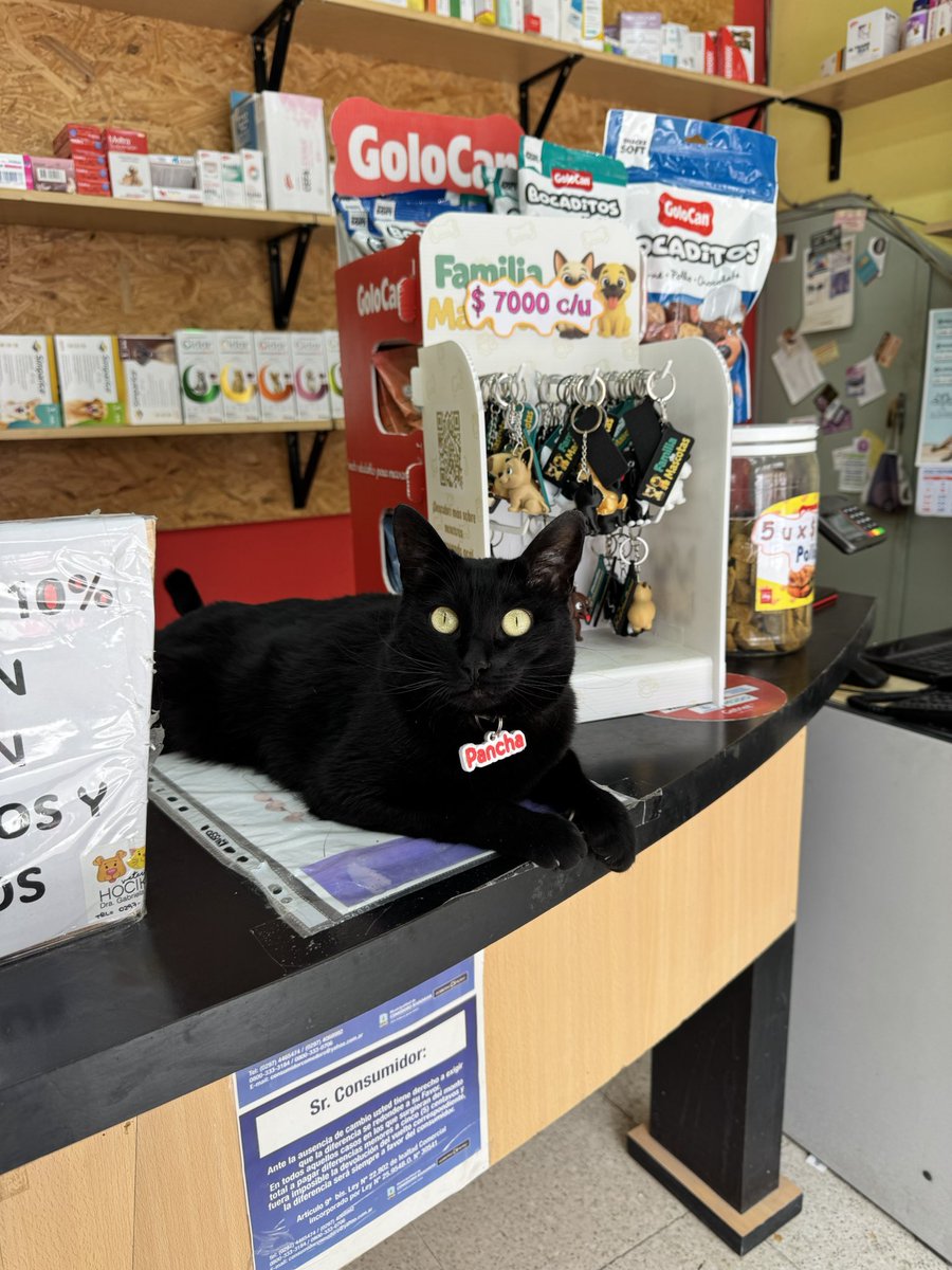 “Hola sí, que anda necesitando ?”