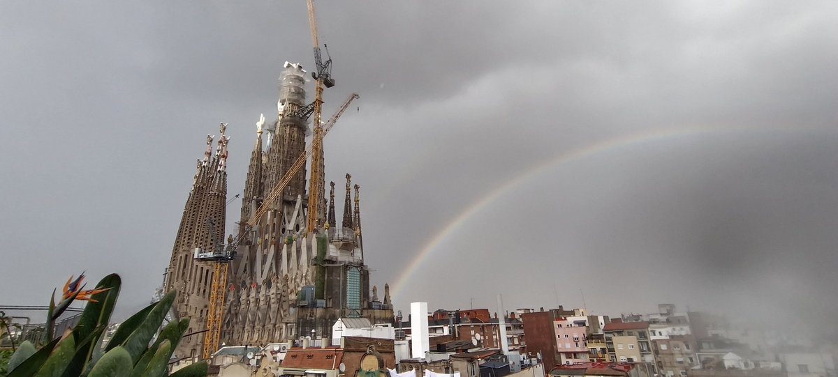 Arco iris junto al templo de la Sagrada Familia 16-12-25
#MeteoOtoño2025
