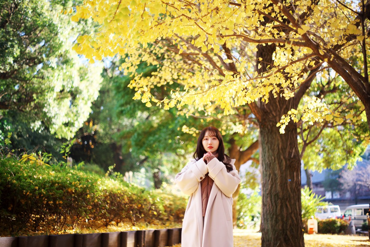 YASHICA AUTO YASHINON-DX 50mm f/1.7(作例） YASHICA AUTO YASHINON-DX 50mm f/1.7(作例） hqdefault.jpg