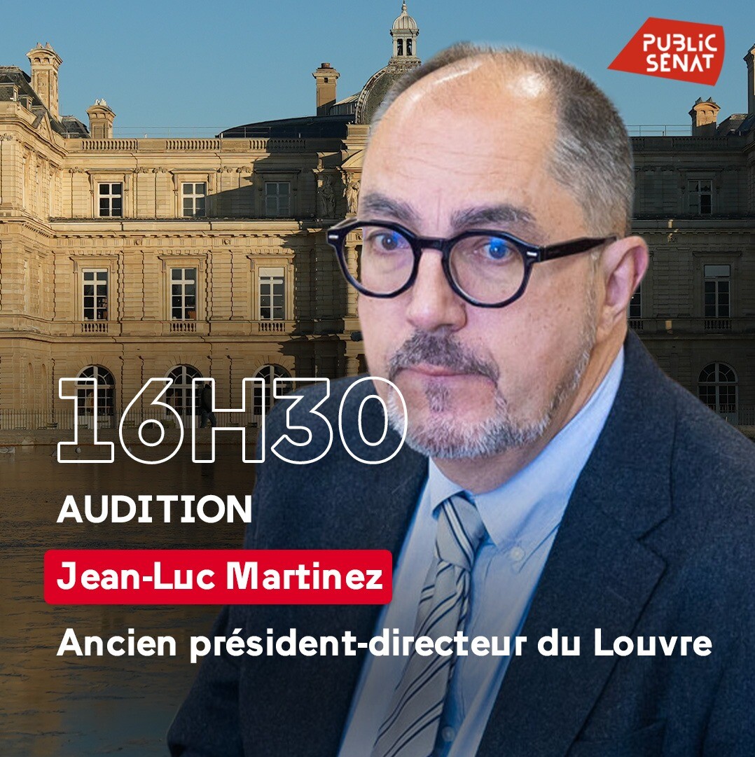 publicsenat's tweet image. 🔴 À 16h30, #endirect sur notre site et les réseaux sociaux de @publicsenat 

👉 Audition de Jean-Luc Martinez, Ancien président-directeur du Louvre

💻 go.publicsenat.fr/fSC