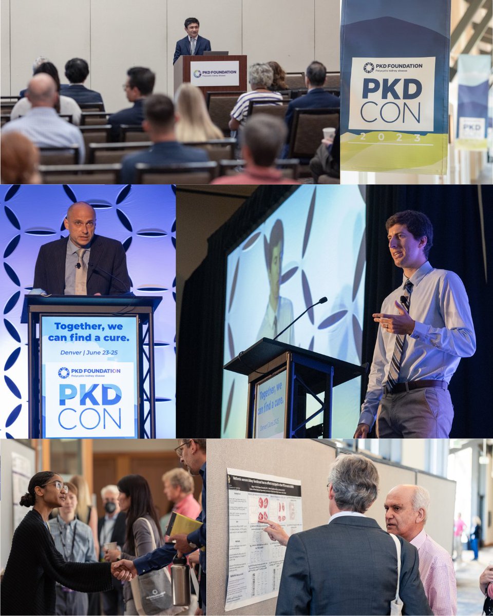 PKDFoundation's tweet image. Save the date! PKDCON returns in 2026. Join us June 12–13 in the Chicago metro area, either in person or virtually. We can’t wait to see you there!