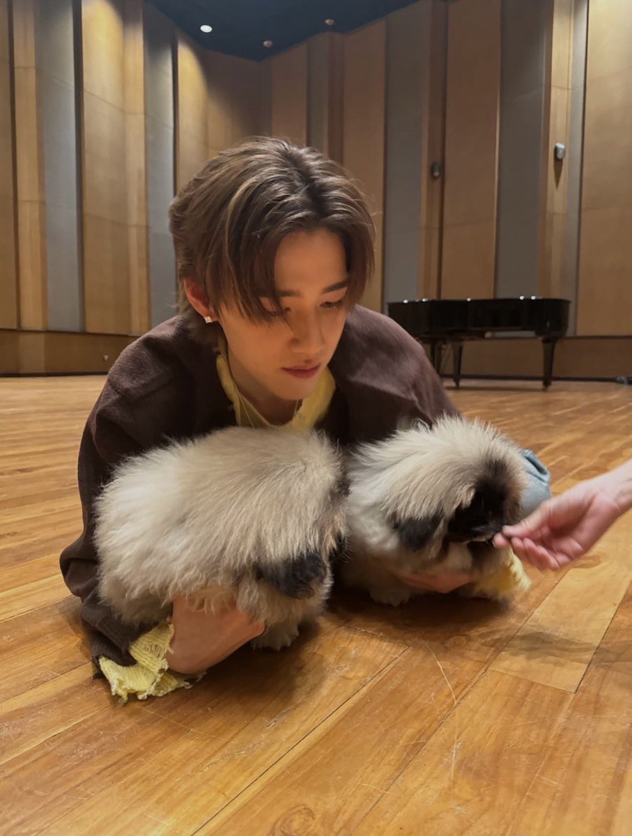 mycutiesbp's tweet photo. ใช่ ใช่มั้ย https://t.co/alT1D2YIWc