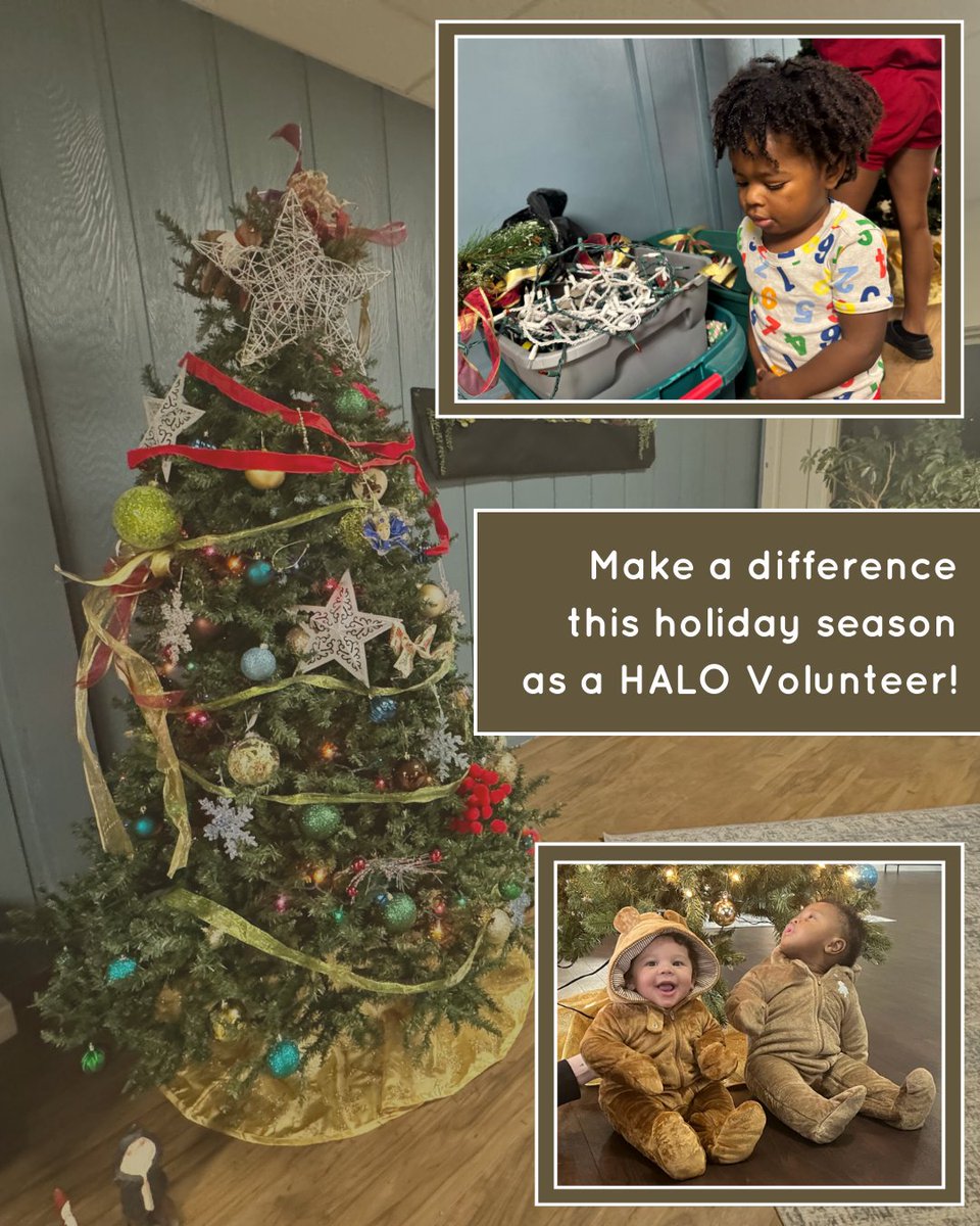 Thanks to our amazing HALO volunteers, memories like putting up Christmas lights on the tree are possible for HALO youth. Make an impact and get started today: loom.ly/gJOj3ik  #christmastime #today #volunteer