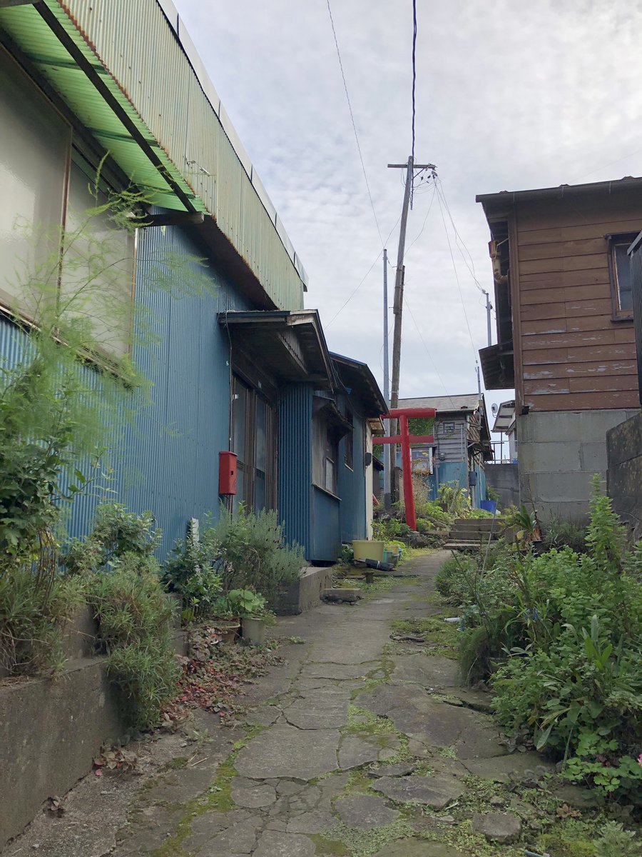 017（なんばーじゅうなな） (@pijyon) / Posts / X