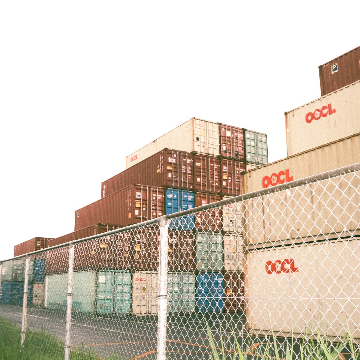 Namiuchi Lab. tweet media