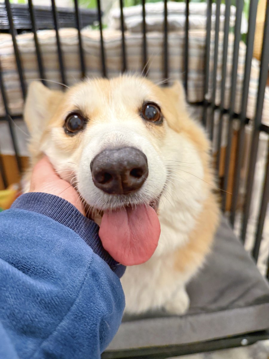Teenage Girl Doing Chinups Sticking Out Tongue High-Res Stock Photo - Getty  Images, image size:900x1200