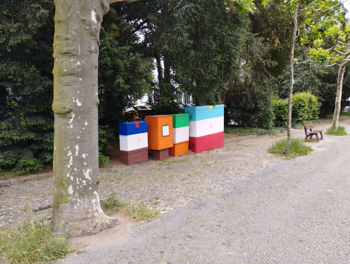 Magda 🌸🐝 tweet media