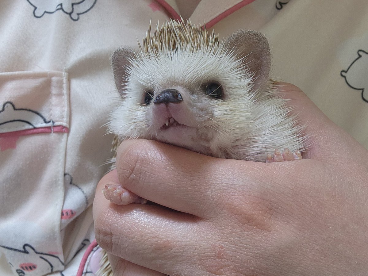 둥가둥가🎶
아기 : 둥가둥가 시러.