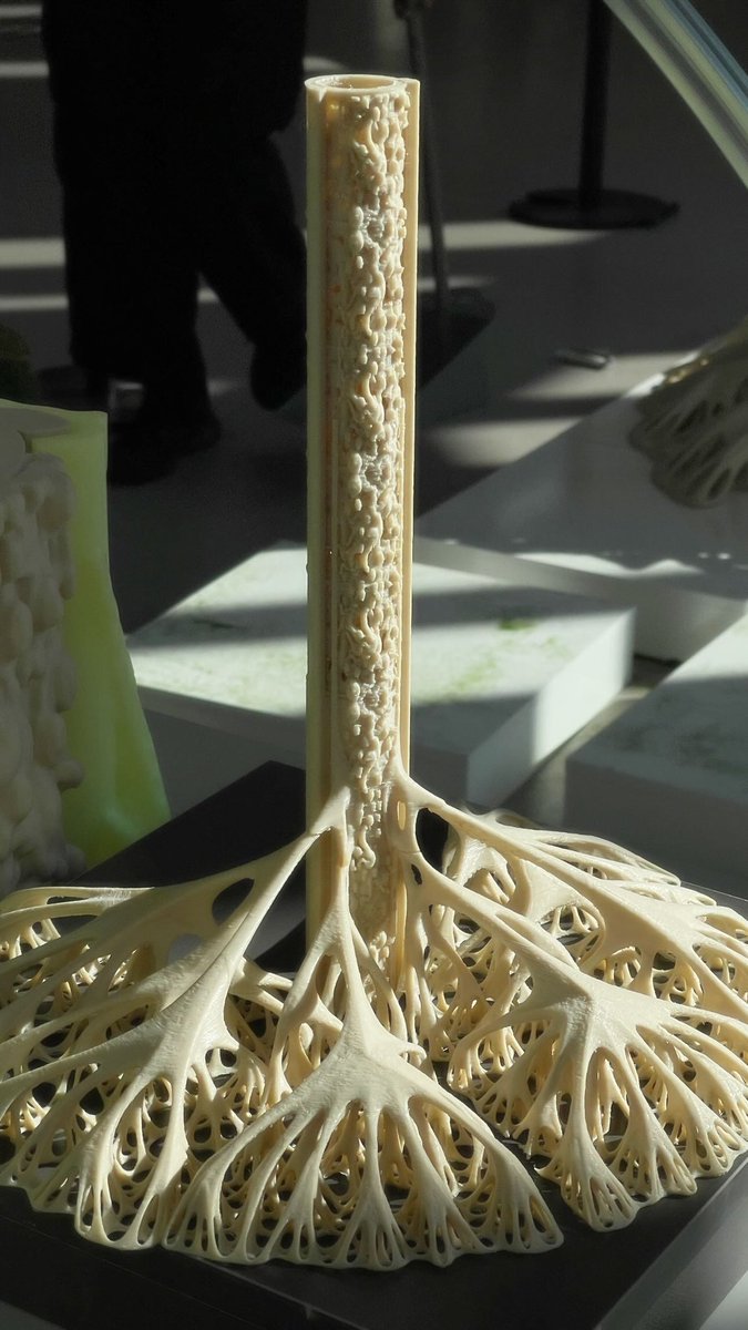 provides_ism's tweet photo. Our exhibition at the East Kowloon Cultural Centre in Hong Kong has finally opened! Welcome to see our biomimetic computational architecture prototype made from biomaterials from today until January 24th! 🎉🎉🎉 https://t.co/gWLm4OQcso