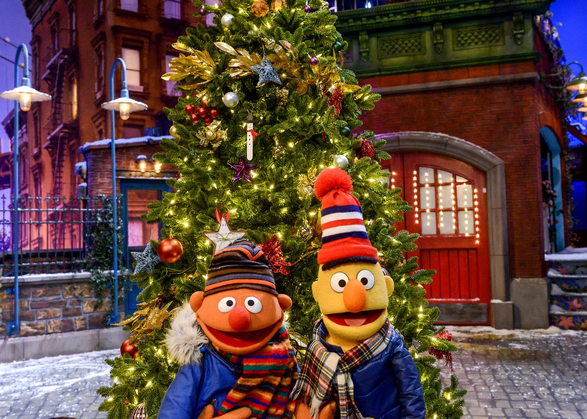 SesameErnie's tweet image. I picked out the perfect picture for our holiday cards. What do you think, @BertSesame?