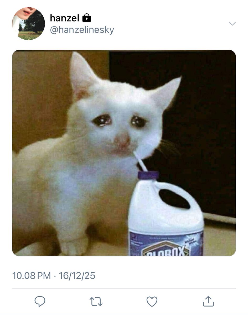 𝓁𝒶𝓃 tweet media