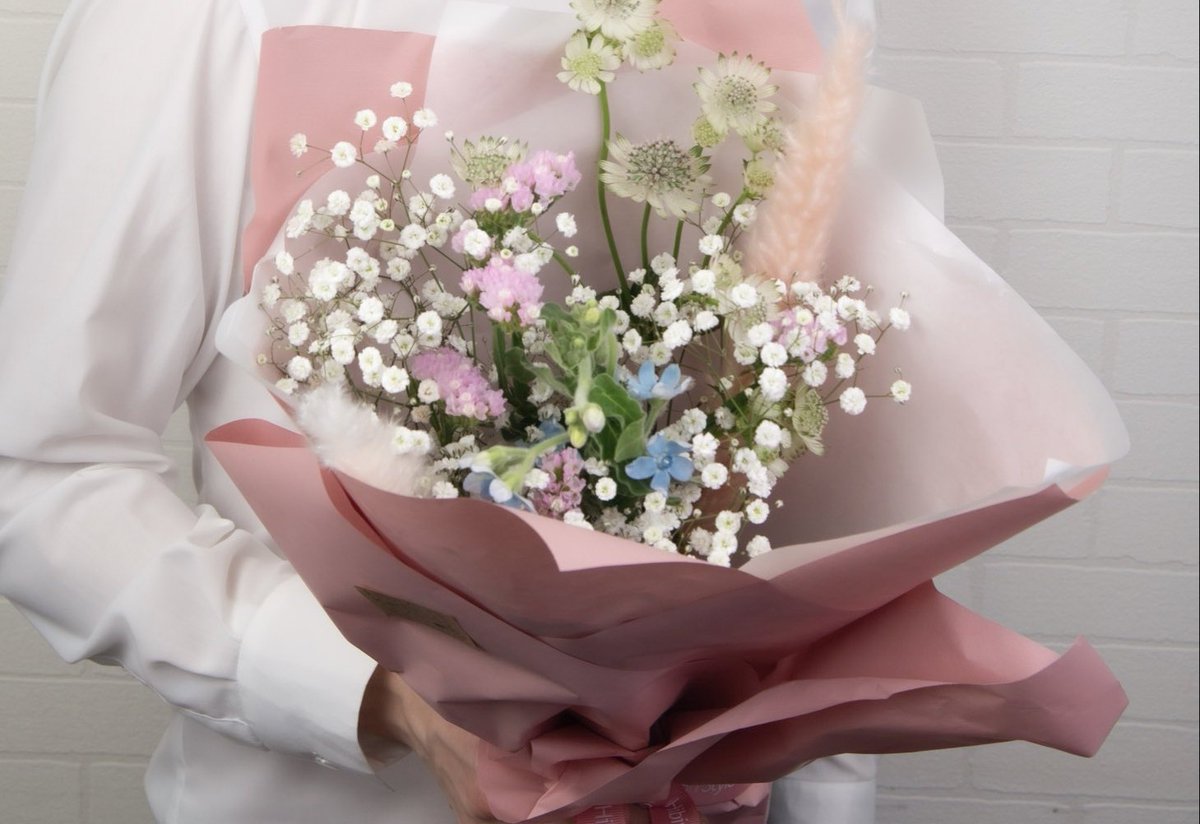 カサブランカ (@aruchan_0119) / Posts / X