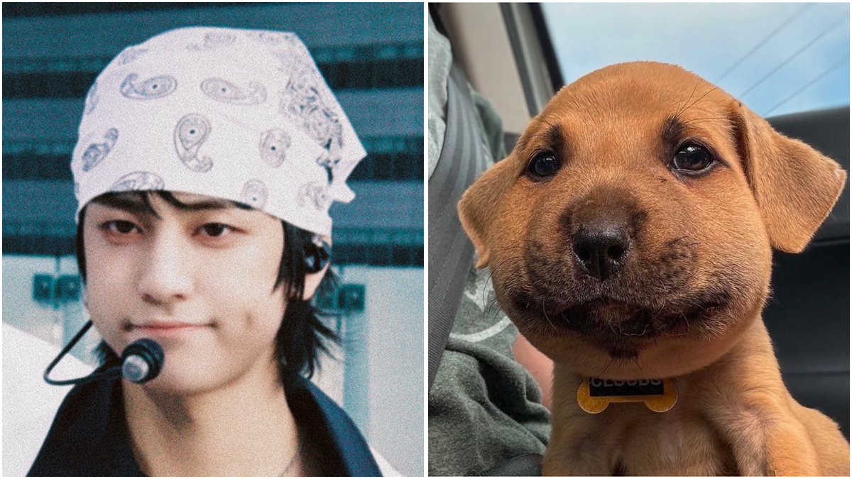 알짱이.. tweet media