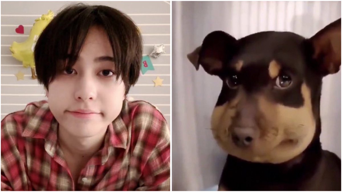 알짱이.. tweet media