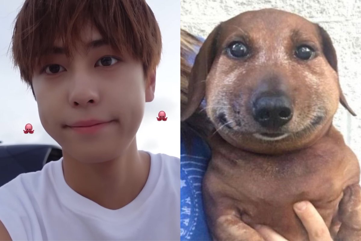 알짱이.. tweet media