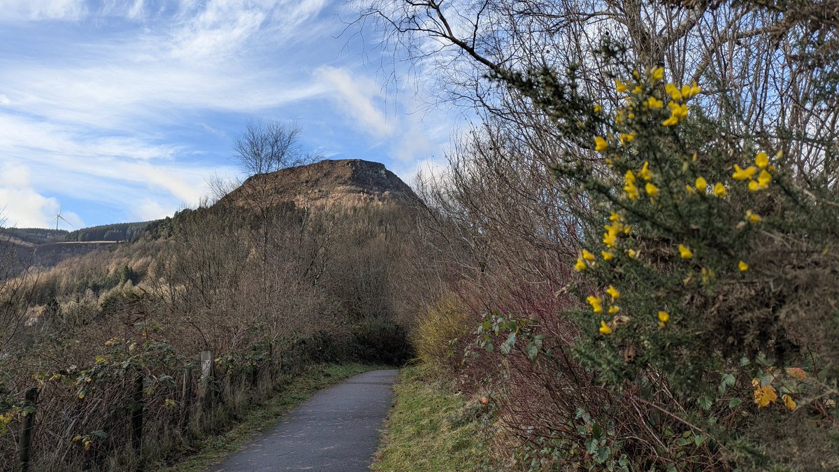 lee williams tweet media