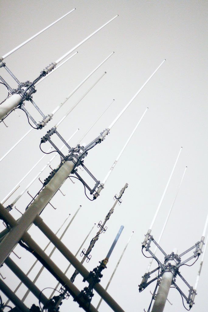 17525272901868291765377191994762551627829917365278 (@gopwbi7qqtwed9o) on Twitter photo 