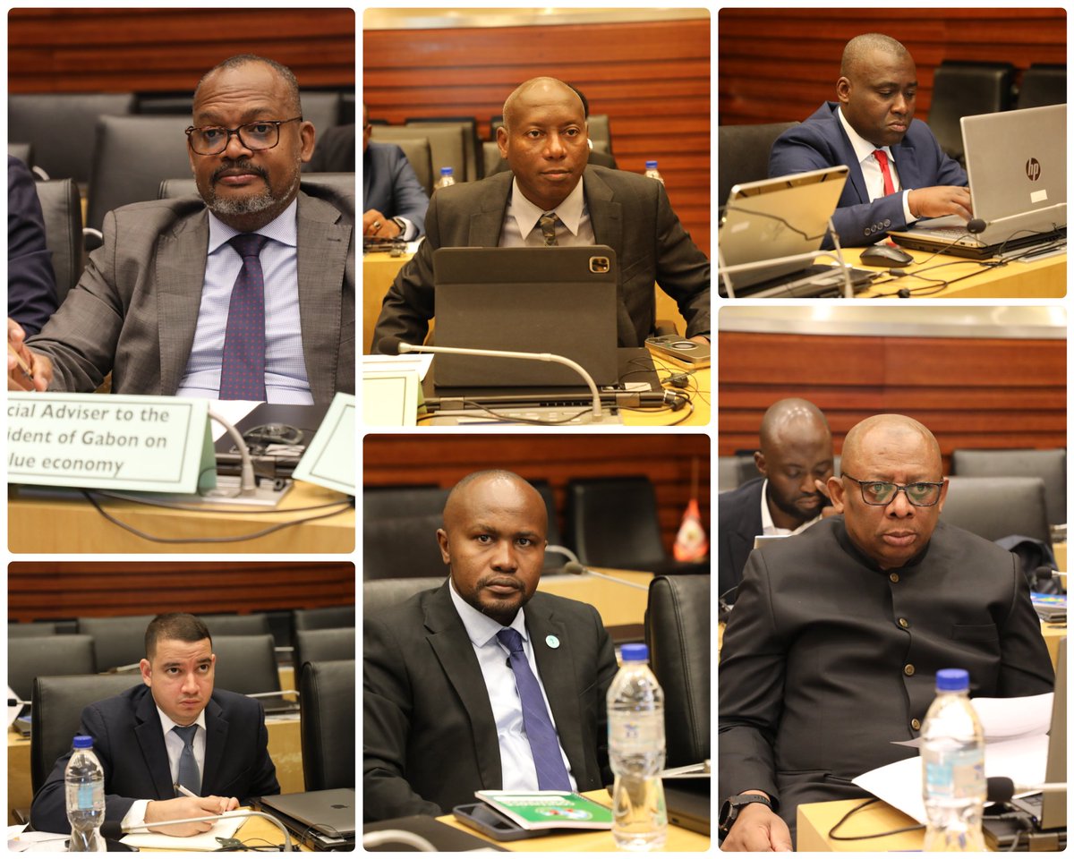 African Union Political Affairs Peace and Security tweet media