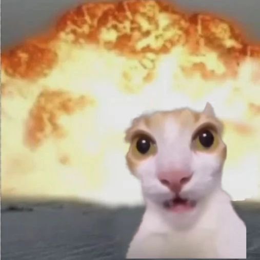 leaa_ricot's tweet image. Quoi ????? Un antifasciste fait preuve d’antifascisme ??? Mais quelle nouvelle stupéfiante