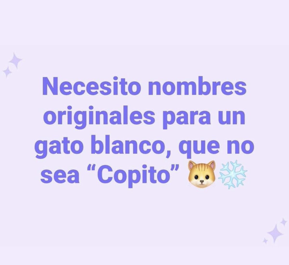 Errores gramaticales tweet media